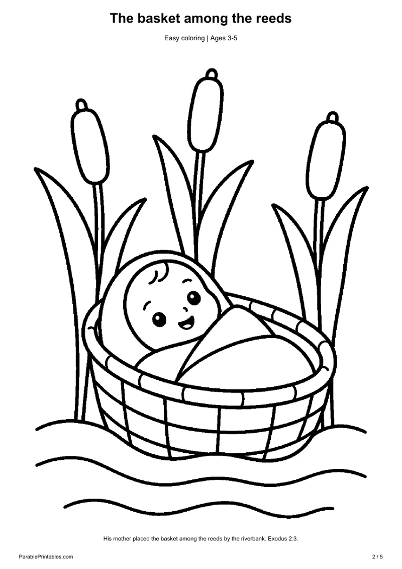 The basket among the reeds