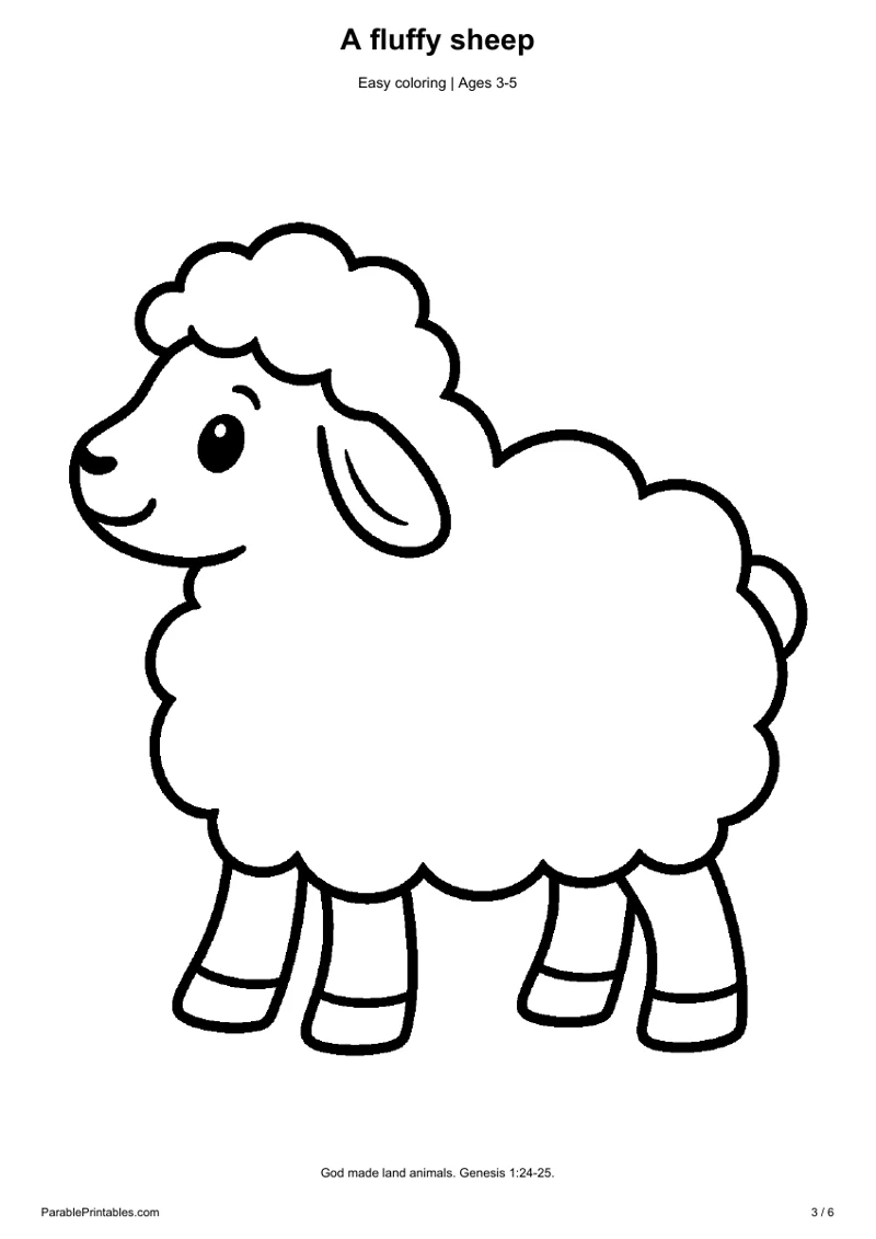 A fluffy sheep