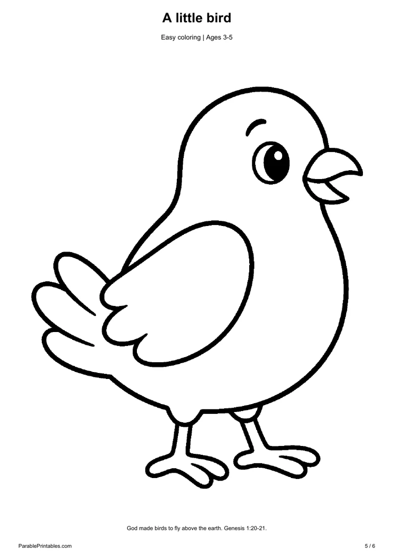 A little bird