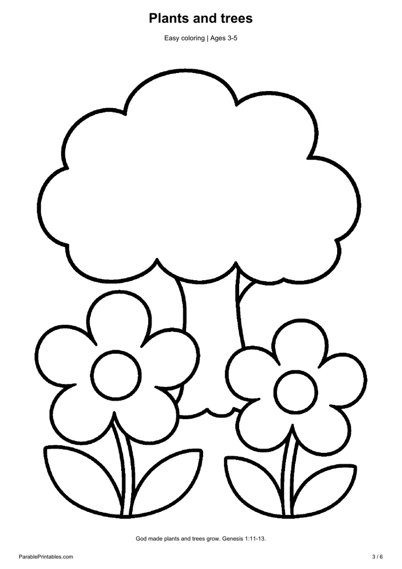 Plants and trees